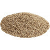 World's Best Cat Litter Picky Cat Unscented Clumping Cat Litter, 24 lb