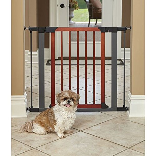 29" TALL STL/WOOD GRAPHITE GATE