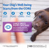 Wellness CORE Large Breed Puppy Original Chicken Recipe Dry Dog Food, 2.75 Kg