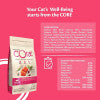 Wellness CORE Sterilized Ocean with Salmon Recipe, 4 Kg