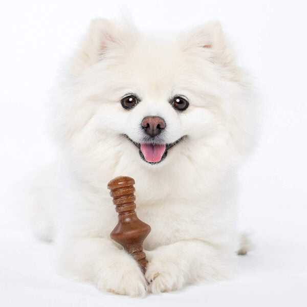 Benebone 2-Pack Maplestick/Zaggler Bacon Tiny