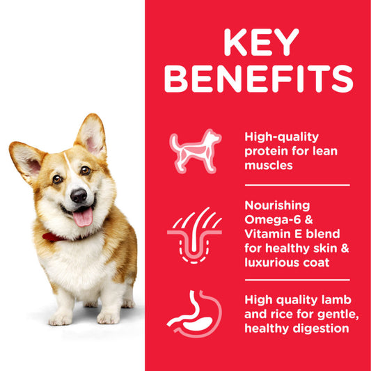 Hill’s Science Plan Small & Mini Adult Dog Food With Chicken 1.5 Kg