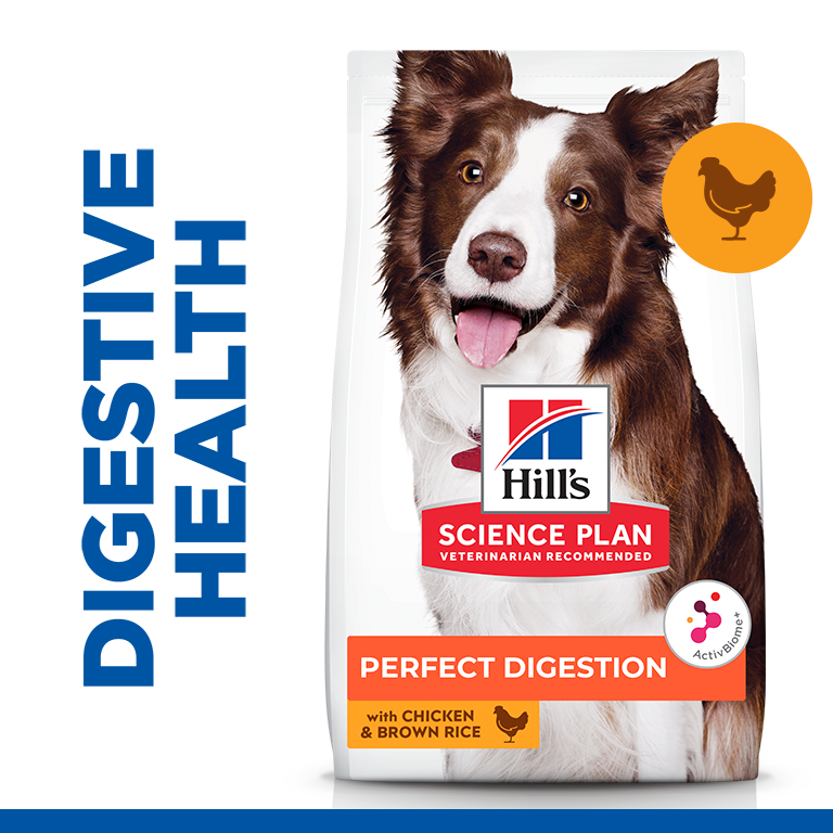 Hill’s Science Plan Perfect Digestion Medium Adult 1+ Dog Food With Chicken And Brown Rice 2.5 Kg