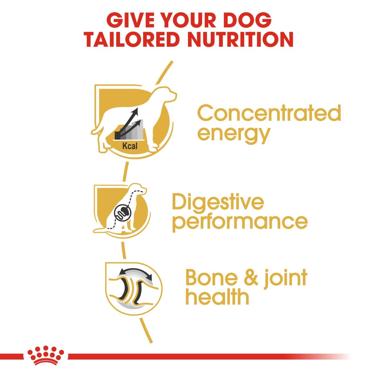 Royal Canin, Great Dane Adult 12 KG, Breed Health Nutrition