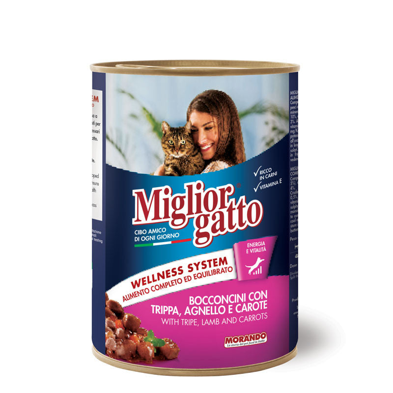 Miglior Gatoo Small Chunks with Tripe, Lamb And Carrots Cat Wet Food, 405g, Pack of 24