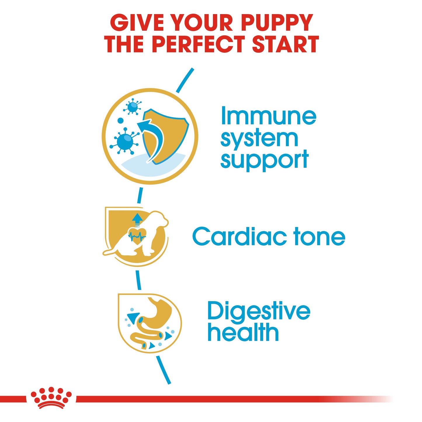 Royal Canin, Cavalier King Charles Puppy 1.5 KG Breed Health Nutrition