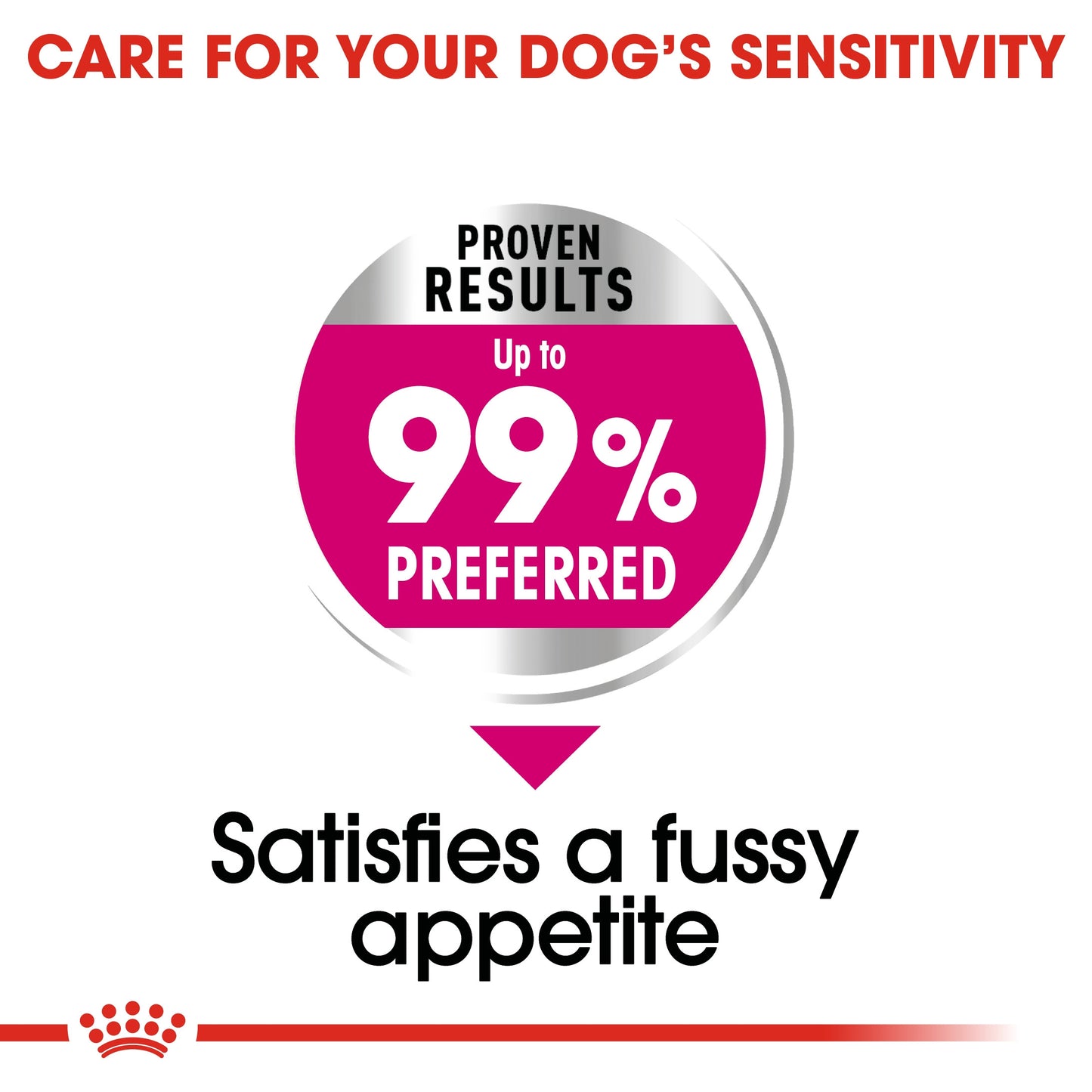 Royal Canin, Mini Exigent 3 KG, Canine Care Nutrition