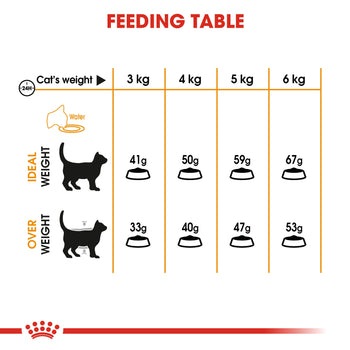 Royal Canin, Feline Care Nutrition Hair & Skin Care 400g