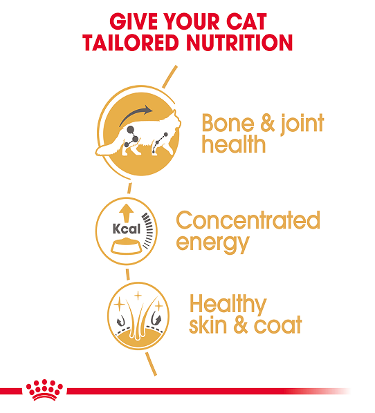 Royal Canin, Feline Breed Nutrition Maine Coon (WET FOOD - Pouches)