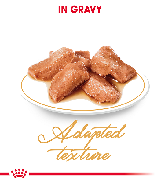 Royal Canin, Feline Breed Nutrition Maine Coon (WET FOOD - Pouches)