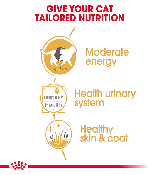 Royal Canin, Feline Breed Nutrition British Shorthair (WET FOOD - Pouches)