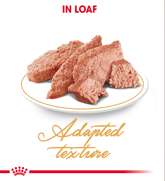 Royal Canin, Feline Breed Nutrition Persian (WET FOOD - Pouches)