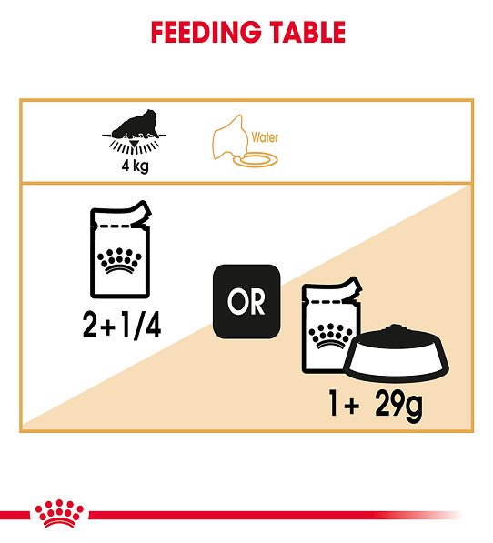 Royal Canin, Feline Breed Nutrition Persian (WET FOOD - Pouches)
