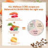 Wellness CORE Ocean Salmon with Tuna Recipe Adult Dry Cat Food, 4 Kg