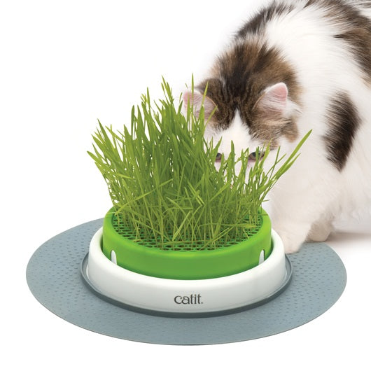 Catit Senses 2.0 Grass Planter