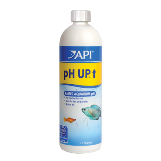 API pH Up, 16 OZ