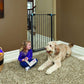 29"TALL GRAPHITE STEEL GATE-GLO N DARK