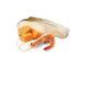 Farmina N&D Wet Ocean Cat Tuna Cod Shrimp & Pumpkin, 80g