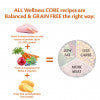 Wellness CORE Large Breed Puppy Original Chicken Recipe Dry Dog Food, 2.75 Kg