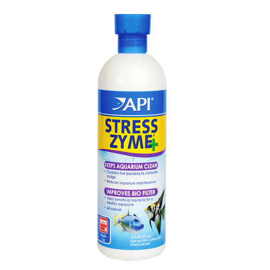 API Stress Zyme, 16 OZ