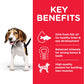 Hill’s Science Plan Medium Puppy Food With Chicken 14 Kg