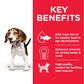 Hill’s Science Plan Medium Puppy Food With Chicken 2.5 Kg