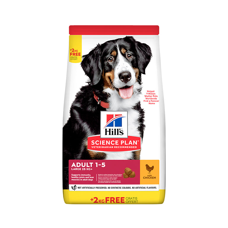 Hill’s Science Plan Large Breed Adult Dog Food With Chicken Bonus Bag 14 Kg