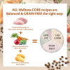 Wellness CORE Sterilized Ocean with Salmon Recipe, 4 Kg