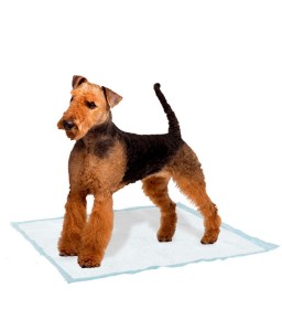 Ferplast Genico Dog Pad 60X60Cm 10Pcs