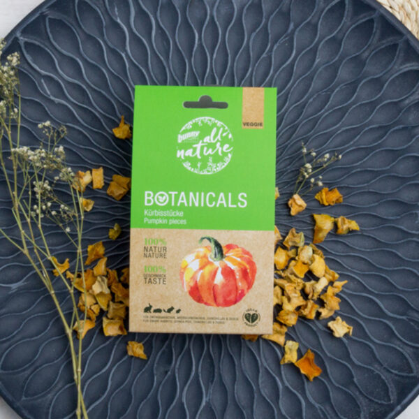 BOTANICALS Snacks PUMPKIN PIECES 80g