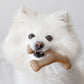 Benebone Wishbone Bacon Medium