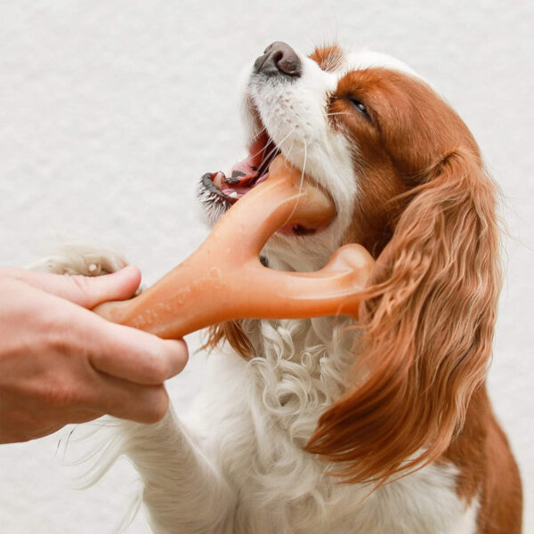 Benebone Wishbone Chicken Small