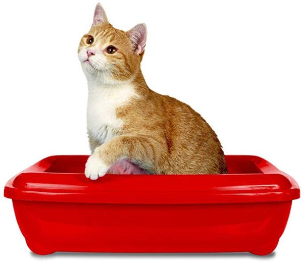 Simple Solution Attractant Cat Litter