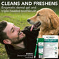 Complete Enzymatic Dental Care Kit