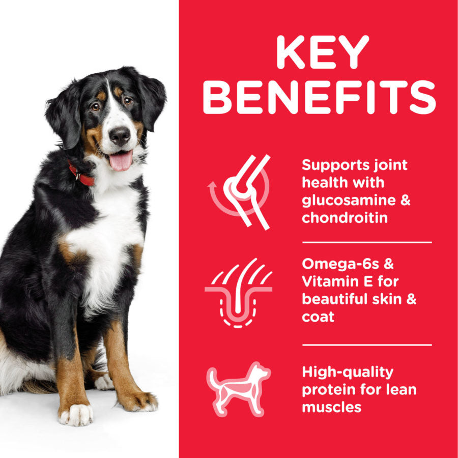 Hill’s Science Plan Large Breed Adult Dog Food With Chicken 18 Kg