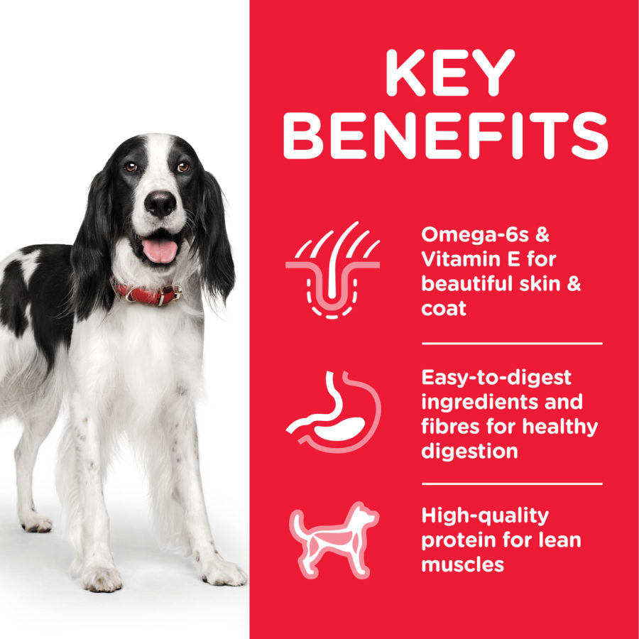 Hill’s Science Plan Medium Adult Dog Food With Chicken 14 Kg