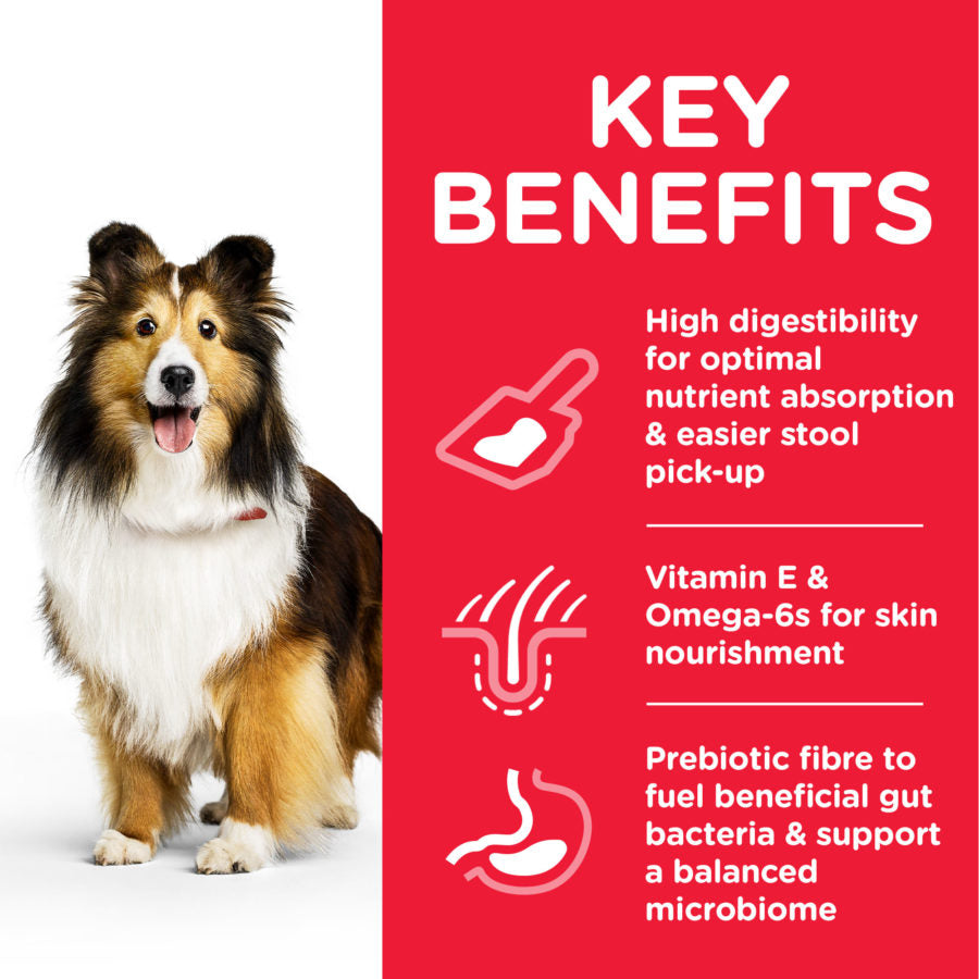 Hill’s Science Plan Sensitive Stomach & Skin Medium Adult Dog Food With Chicken (2.5kg)