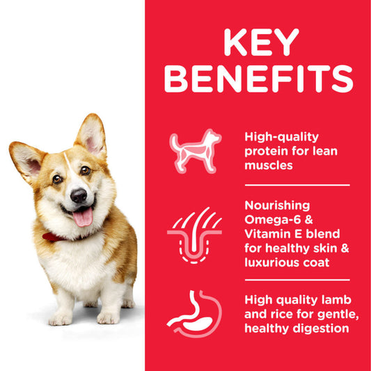 Hill’s Science Plan Small & Mini Adult Dog Food With Chicken 10 Kg
