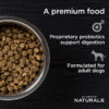 Diamond Naturals Adult Dog Beef Meal & Rice Formula 18.14 Kg