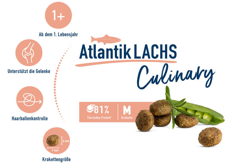 Happy Cat Culinary Atlantic Lachs Salmon 1.3 Kg