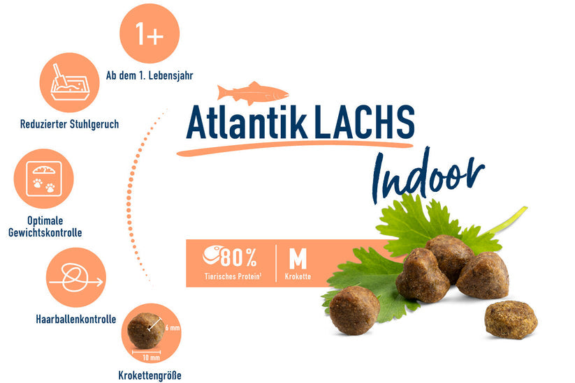 Happy Cat Indoor Atlantic Lachs 0.3 Kg