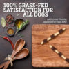 Buffalo Range Natural, Grain Free Jerky Kabob Rawhide Chews for Dogs