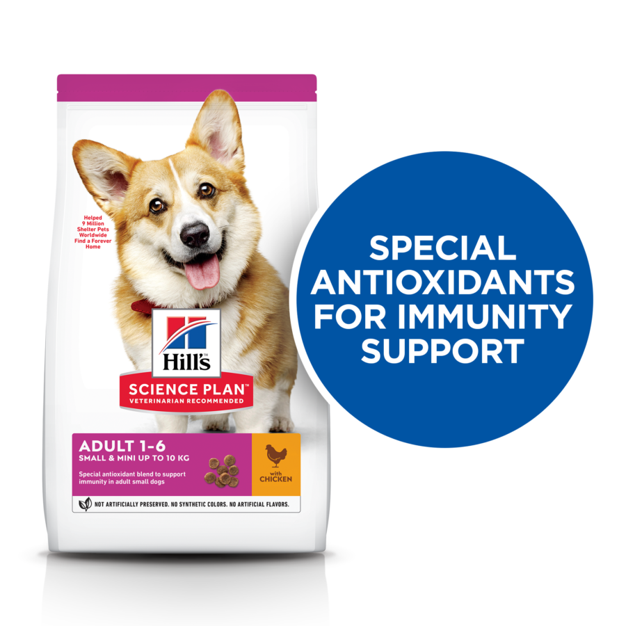 Hill’s Science Plan Small & Mini Adult Dog Food With Chicken 3 Kg