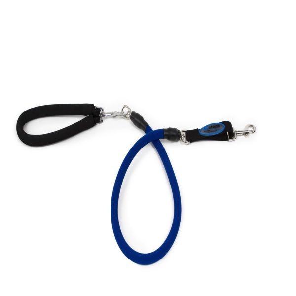 EZ STEPS STRETCH LEASH MD BLUE