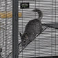 Critter Nation( For Small Habitat for Rats cage, Chinchillas,Ferrets..)