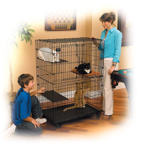 Collapsible Cat Playpen