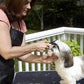 Conair Dog  5" Shear
