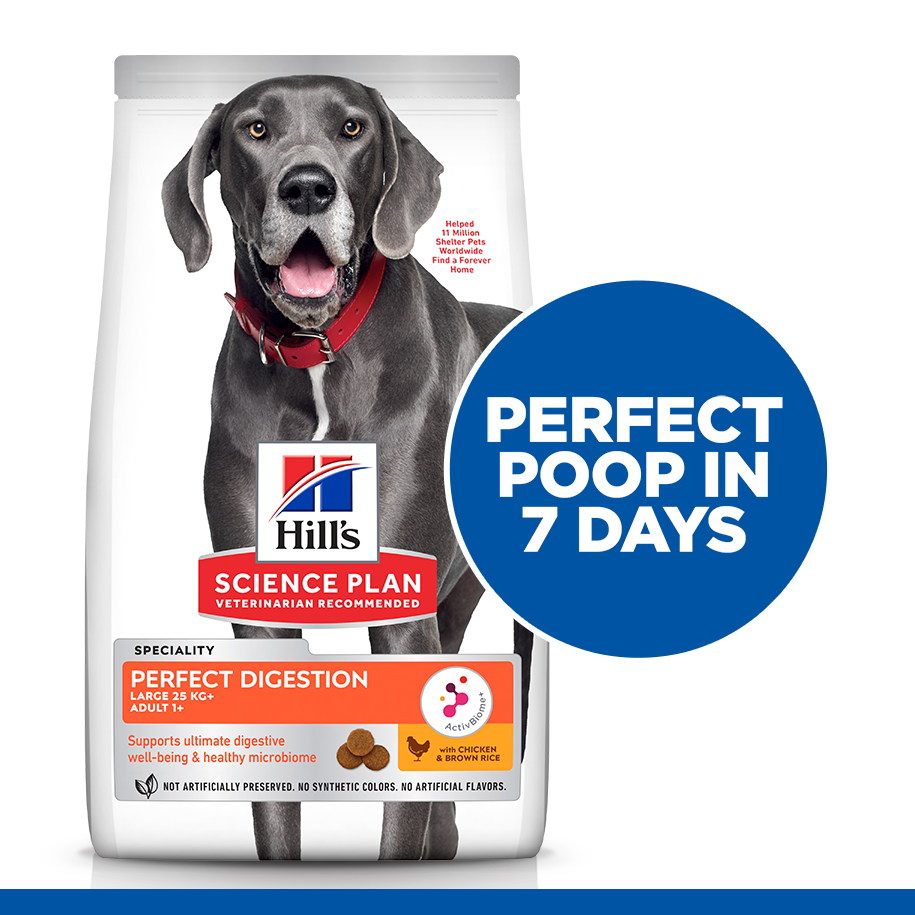 Hill’s Science Plan Perfect Digestion Large Breed Adult 1+ Dog Food With Chicken And Brown Rice 14 Kg