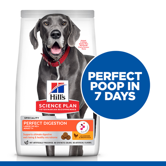Hill’s Science Plan Perfect Digestion Large Breed Adult 1+ Dog Food With Chicken And Brown Rice 14 Kg