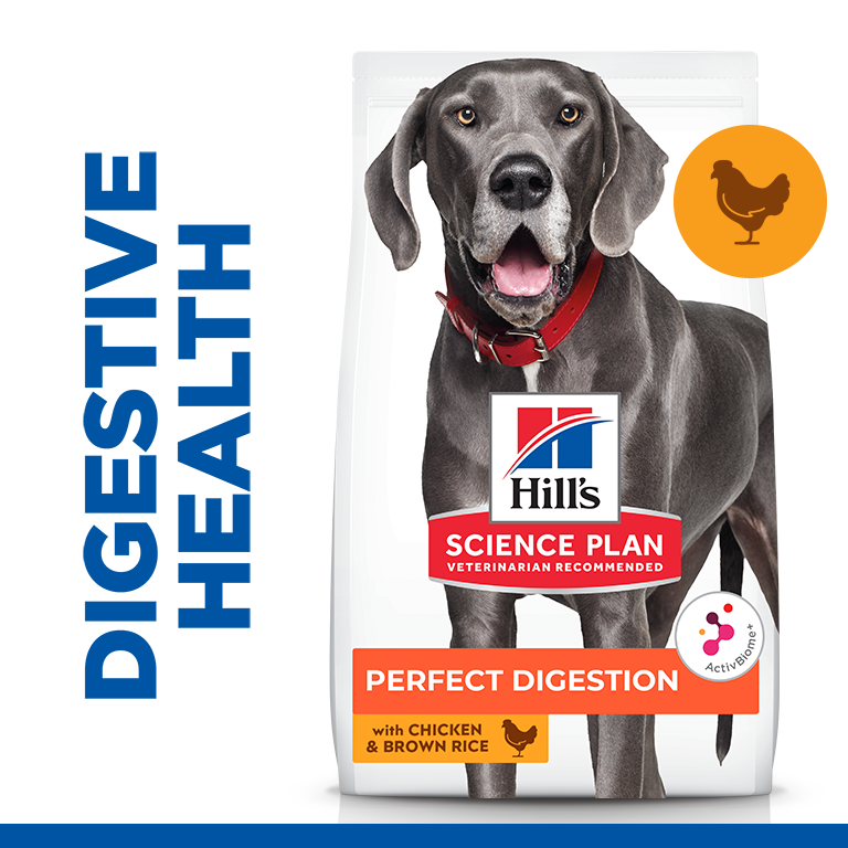 Hill’s Science Plan Perfect Digestion Large Breed Adult 1+ Dog Food With Chicken And Brown Rice 14 Kg